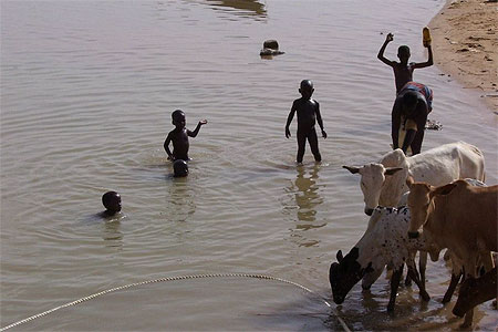 Baignade dans le Fleuve du Niger