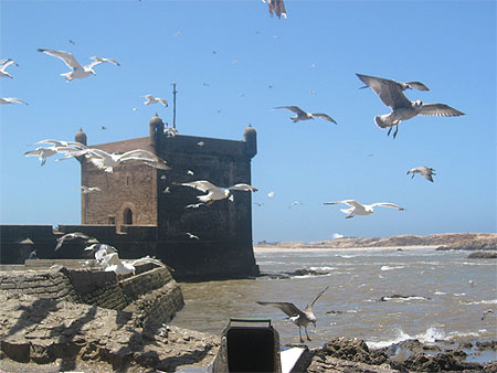 Essaouira, son port, ses remparts, ses rues, ses Ryads