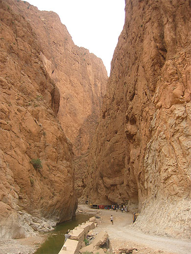 Maroc, palmeraie aux environs de Tinerhir