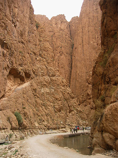 Maroc, palmeraie aux environs de Tinerhir