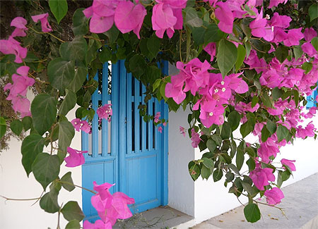 Les couleurs du bonheur