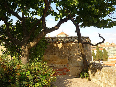 Jardin du Huerto de Calixto y Melibea