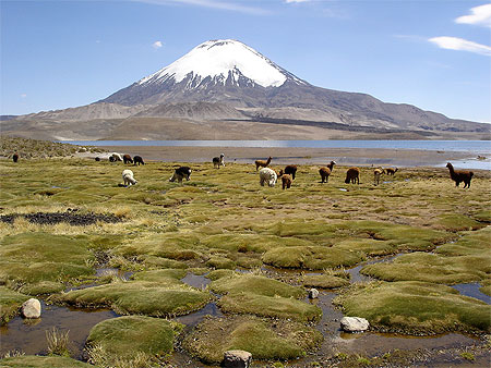 Lac Chungara altitude 4500 m