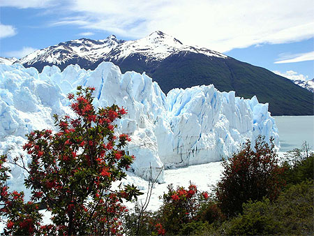 Une vue du glacier Perito Moreno