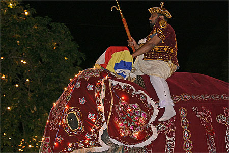 F�te de l'�l�phant 