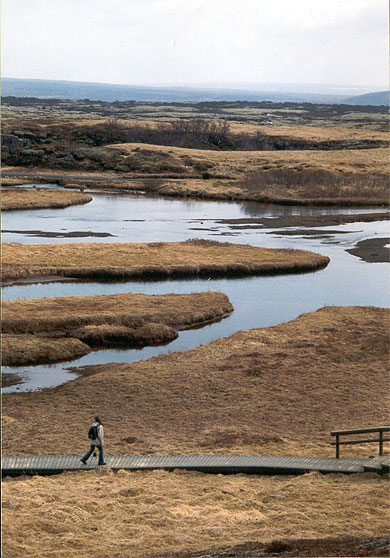 Sur la route de Thingvellir