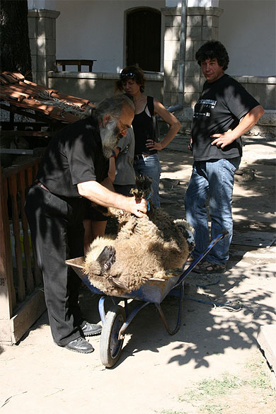 Donation d'un mouton