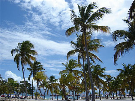 Plage de gosier