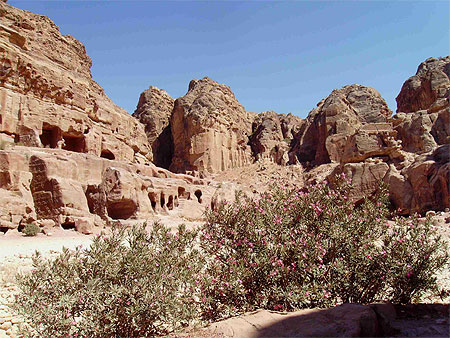 Petra