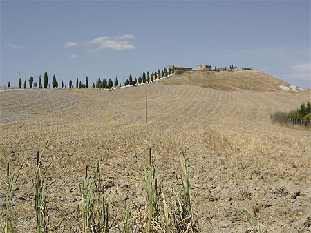 Douce colline du Val d'Orcia