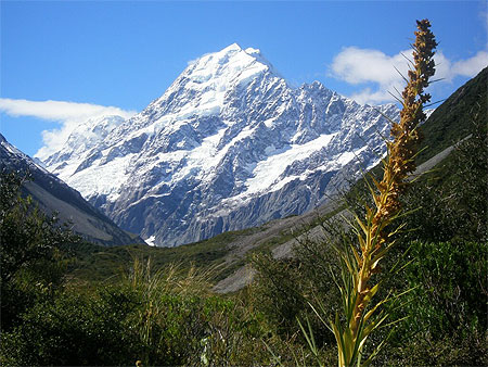 Mt Cook