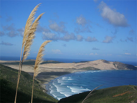 Cap Maria van Diemen