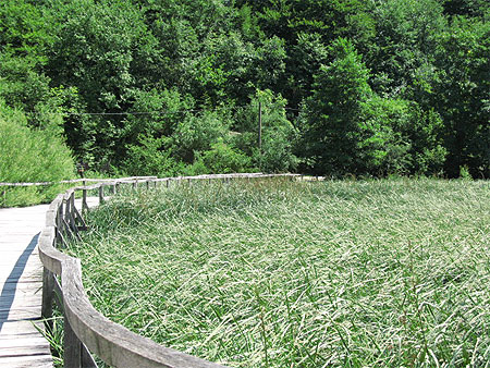 Lacs de Plitvice