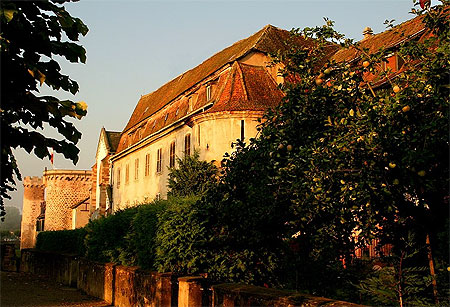 Les murailles d'Obernai