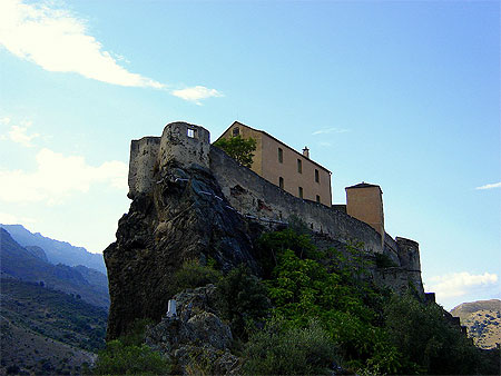 Corti