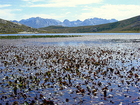 Lac de ninu