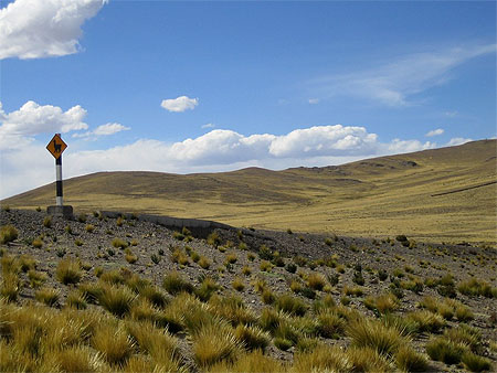 Sur la route des Alpagas