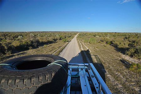 Le grand Sud... le bush � perte de vue