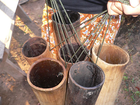 Sucre de palme, les godets pour la r�colte