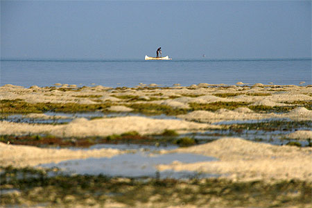 P�cheur � mar�e basse