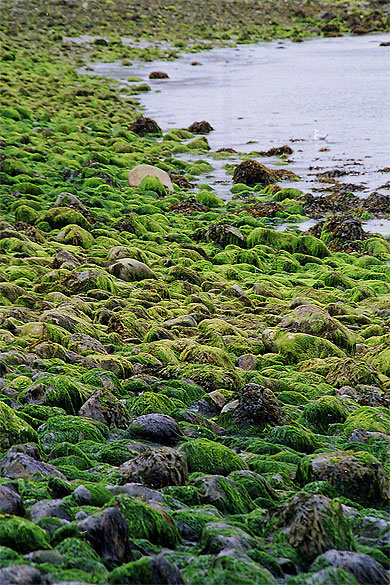 �le d'Inishbofin