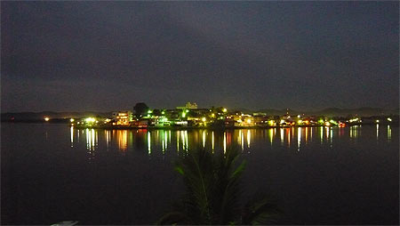 Flores de nuit