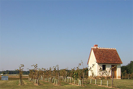 Maison de vigne � l'entr�e de Montlouis s/Loire, en Touraine