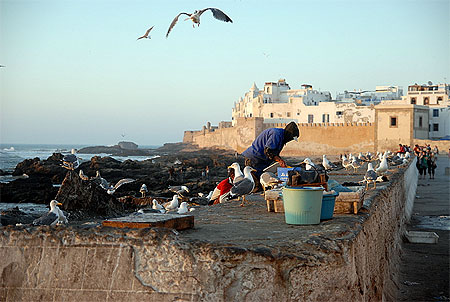 Essaouira la blanche