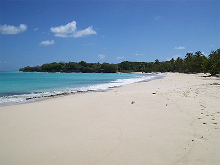 Plages de Marie Galante