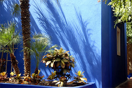 Le jardin extraordinaire