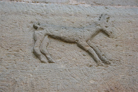 Animal grav� sur le mur