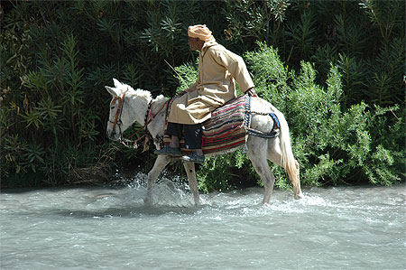 Dans les gorges
