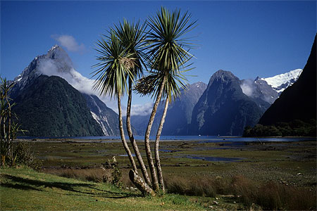 Milford Sound