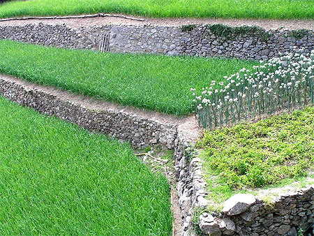 Cultures � Bouras