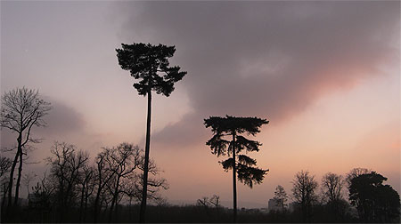 Soir d'hiver au Bois de Boulogne