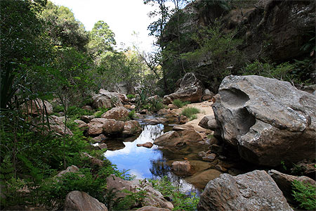 A l'int�rieur du Canyon des rats