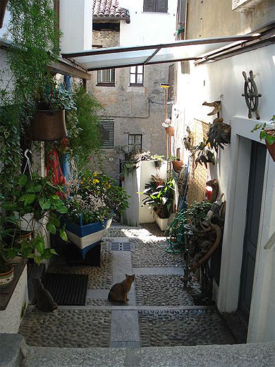 Ruelle � Isola Bella