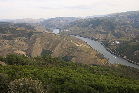 La vall�e du Douro