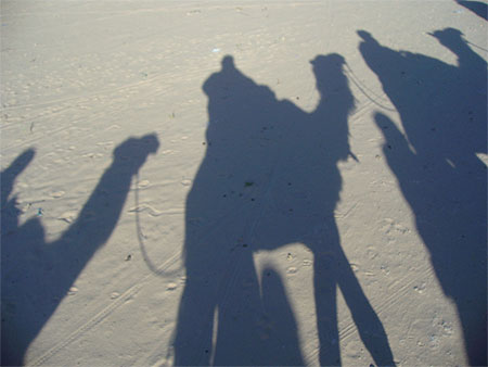 Ombres tunisiennes