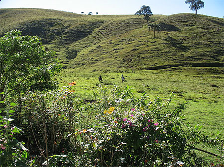 Serra da Bocaina