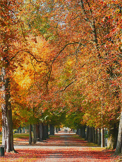 Automne