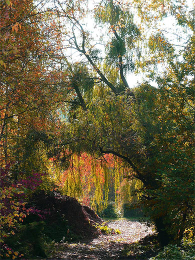 En automne