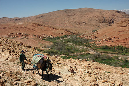 Muletier du Haut Atlas