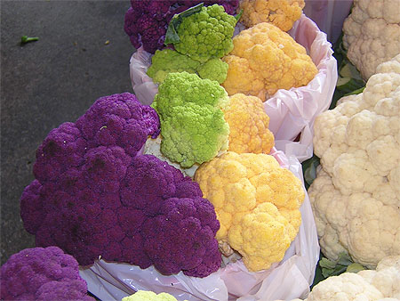 Les couleurs de Jean Talon