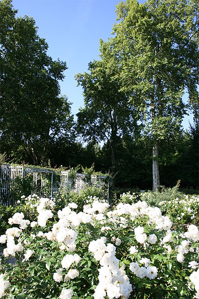 Parterres-Parc de Bercy