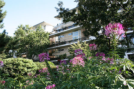 Les habitations qui donnent sur le parc de Bercy
