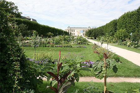 La perspective du jardin des plantes