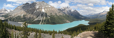 Lac Peyto
