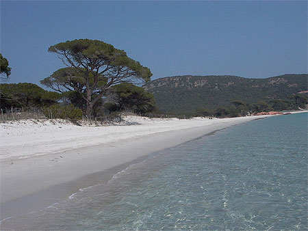 Palombaggia