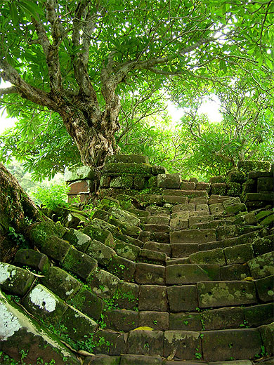 Marches du Wat Phou